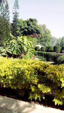 Doğal güzel manzaralı