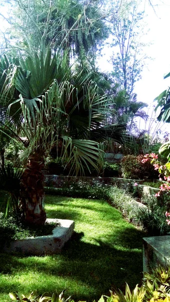 Doğal güzel manzaralı