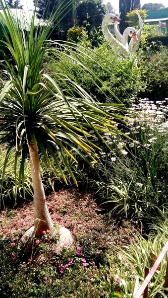 Doğal güzel manzaralı