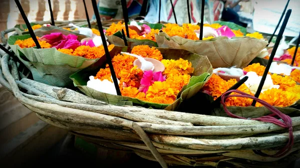 Muitas Pétalas Flores Com Cores Bonitas — Fotografia de Stock