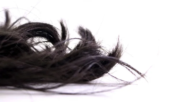 Piece Black Hair White Isolated Background — Stock Photo, Image