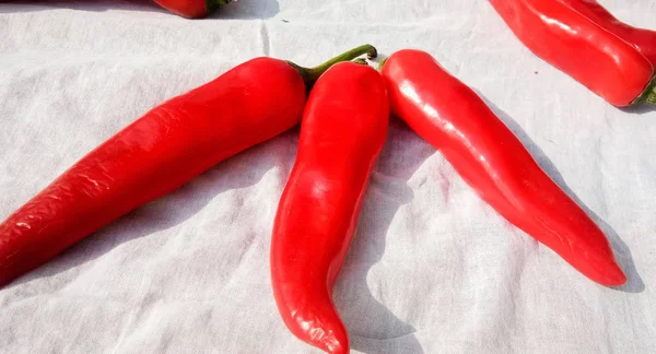 Grupa trzech papryki chili na białym tle — Zdjęcie stockowe