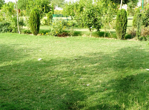 Landschap van grasveld en groene omgeving openbaar park gebruik als natuurlijke achtergrond — Stockfoto