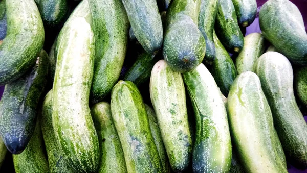 Organic cucumber that is sell on traditional market — Stock Photo, Image