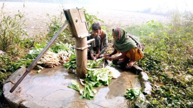 Lucknow, uttar pradesh Kasım 2019: Çiftçi çiftlikte beyaz turpları suda yıkıyor.