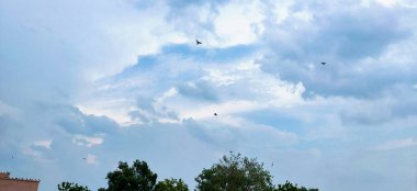 Önünde yeşil ağaçlar olan mavi gökyüzünde yüzen pofuduk beyaz bulutların manzarası.