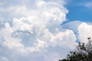 Önünde yeşil ağaçlar olan mavi gökyüzünde yüzen pofuduk beyaz bulutların manzarası.