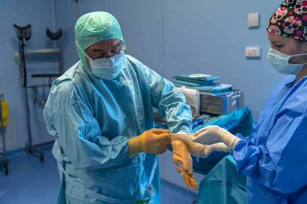 Ameliyathane asistan cerrah steril eldiven koyarak yardım. Sen-ebilmek görmek onları önünde koyarak onların steril eldiven