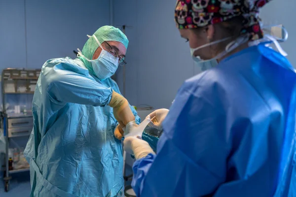 Ameliyathane asistan cerrah steril eldiven koyarak yardım. Sen-ebilmek görmek onları önünde koyarak onların steril eldiven