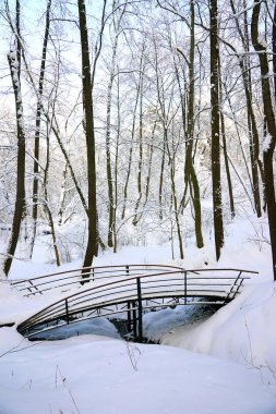 Uzun boylu ağaçlar, küçük bir köprü, bir kış orman kar, buz gibi bir gün.