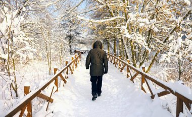 Bir adam yürüyerek gider. Karla kaplı orman, soğuk sabah, patika ve mavi gökyüzü.
