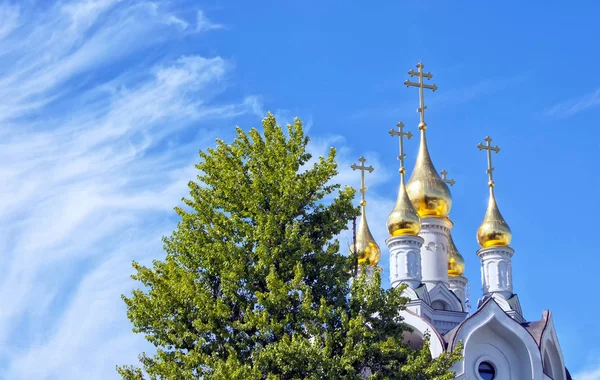 Guldkupoler Ortodox Kyrka Gröna Grenar Och Blå Himmel — Stockfoto