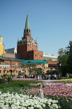 Moskova, Rusya - Haziran, 2016: Alexander bahçede çiçek çiçekler.