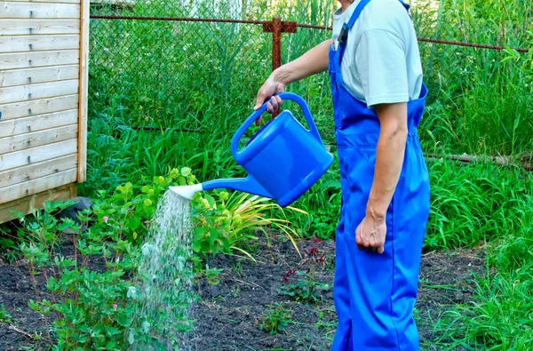 植物の水まき水まき缶を持つ男 — ストック写真