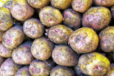 Yeni patates, arka plan.