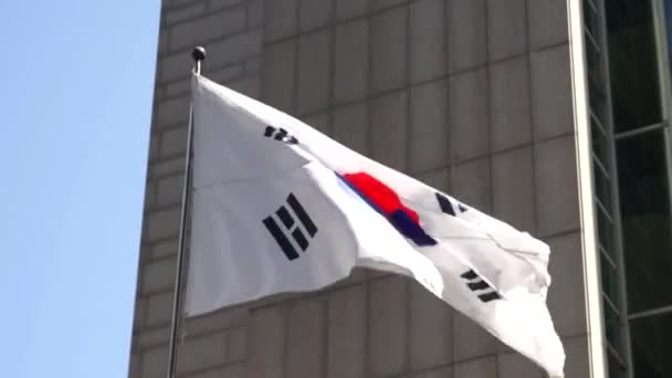 Bandiera Della Corea Del Sud Seoul Ondeggiante Nel Vento — Video Stock
