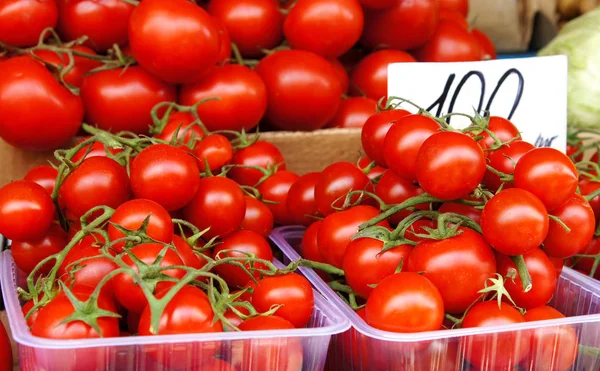 Tomates Rojos Mostrador Tienda —  Fotos de Stock