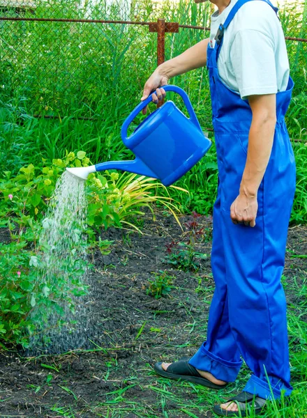 Homme Avec Arrosoir Sur Herbe Verte — Photo