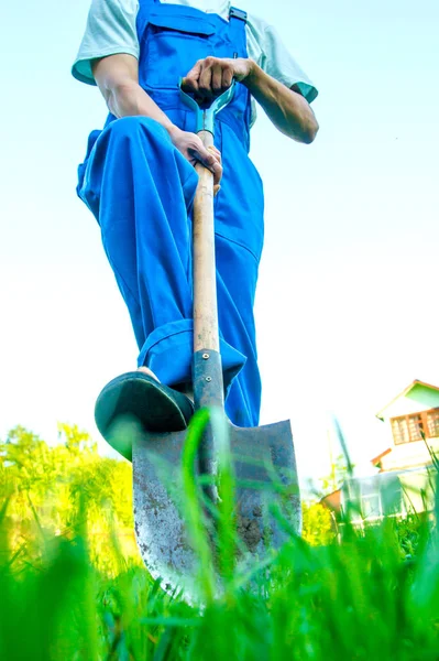 Man Shovel Green Grass — Stock Photo, Image