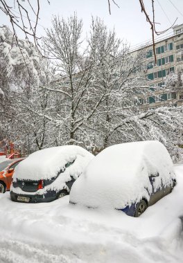 kar içinde park edilmiş arabalar