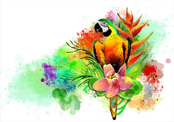 Tropical Birds Flowers Abstract Background Executed Watercolor Style Isolated White — Stock Photo, Image