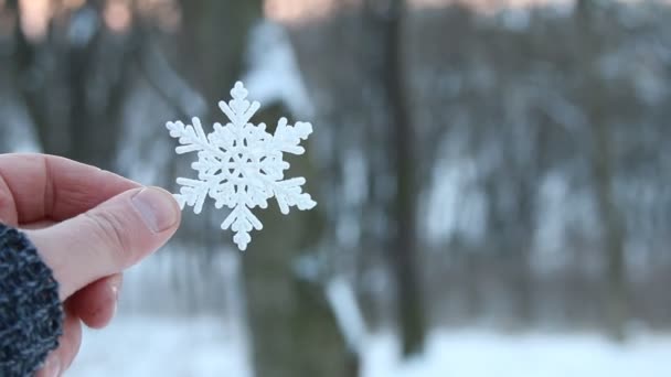 Снег или зимняя концепция, рука держит снежинку — стоковое видео