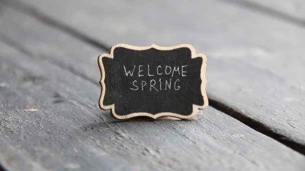 Willkommene Frühlingsidee, Teller mit Inschrift und Schneeglöckchen — Stockvideo