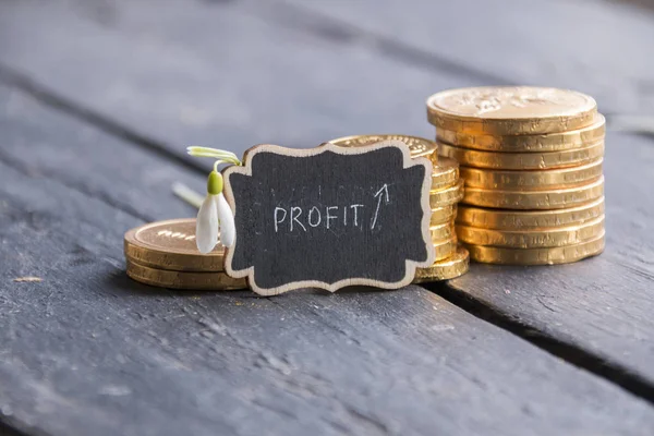 Gouden munten op de tafel, winst idee — Stockfoto