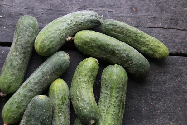 Pepinos frescos y maduros yacen sobre la mesa — Foto de Stock