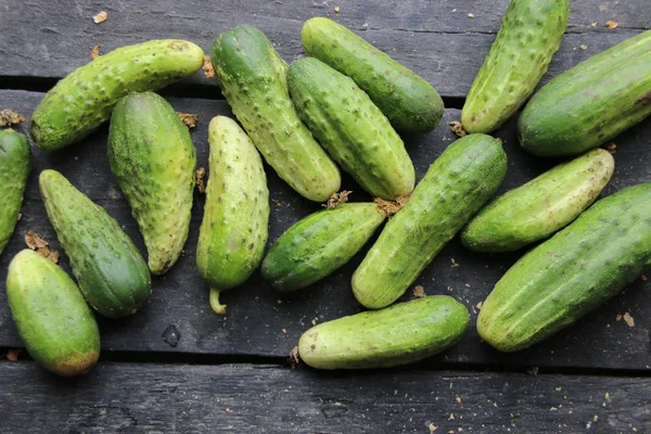 Fresh ripe cucumbers lie on the table, rural market — Stock Photo, Image