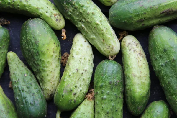 Pepinos frescos y maduros yacen sobre la mesa, mercado rural — Foto de Stock