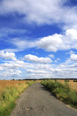 Yaz doğa ile mavi gök, tipik çek kırsal
