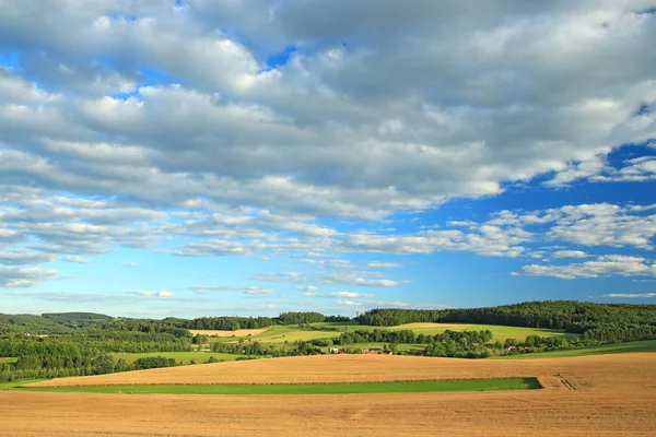 Voorjaarslandschap Zonnige Dag Landelijk Platteland Buurt Van Benesov Stad Tsjechië — Stockfoto