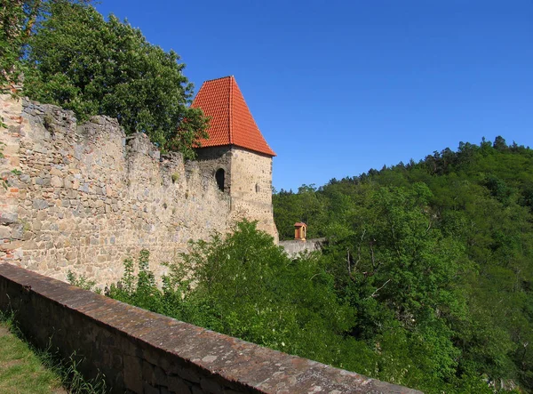 Vista Desde Muralla Del Castillo Medieval Zvikov Klingenberg Pared Con —  Fotos de Stock