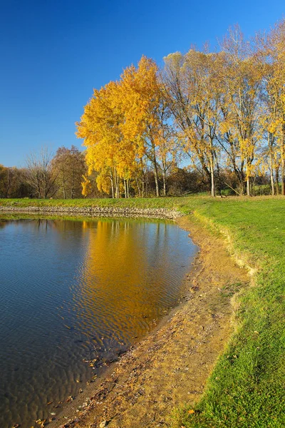 Färgglad höst natur vid dammen. Tjeckien Stockbild
