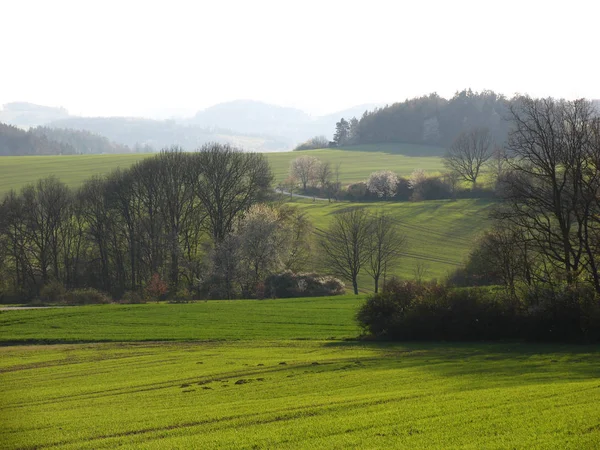 Země zelená pole při západu slunce na jaře — Stock fotografie