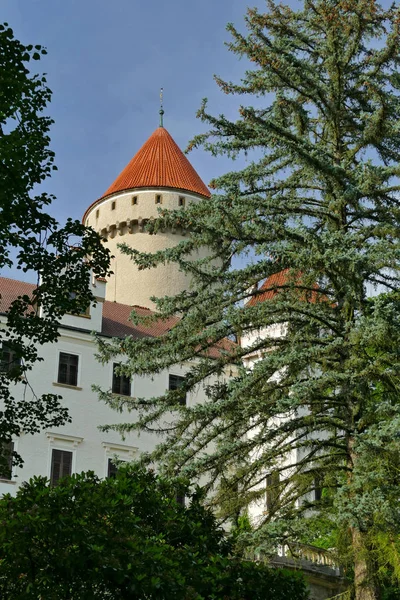 Castelo de Estado Konopiste na primavera, atrás de árvores — Fotografia de Stock