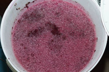 Fermantasyon üzüm şarap evde.