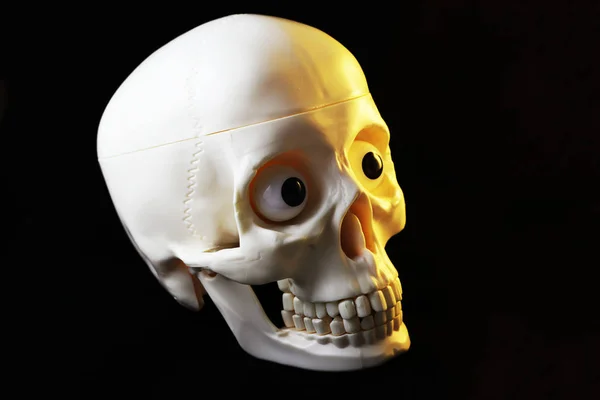 Siyah arkaplanda yapay insan kafatası