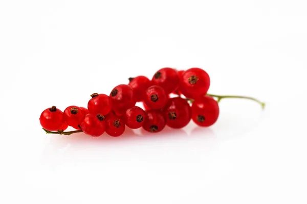 Groseilles Rouges Sur Fond Blanc Macro — Photo