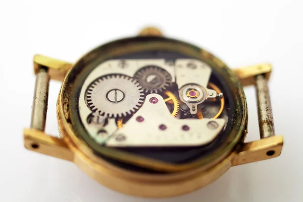 Meccanismo Orologio Orologi Donna Macro — Foto Stock