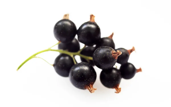 Bunch Black Currants White Background Macro — Stok Foto