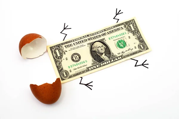 One Dollar Bill Hatched Egg White Background Macro — Stock Photo, Image