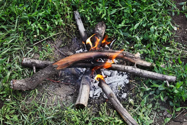 bonfire burns on the ground in a forest in a meadow