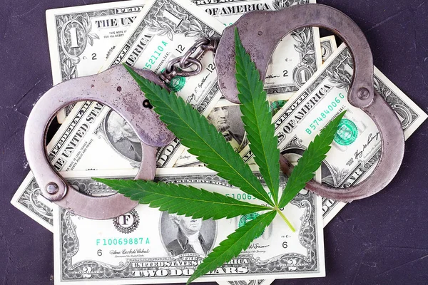 Marihuana yaprağı, kelepçe ve dolar karanlık bir masanın üstünde.