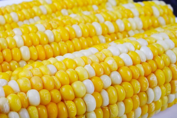 Gotowana Kukurydza Białym Kwadratowym Talerzu Zbliżenie Miękka Ostrość — Zdjęcie stockowe