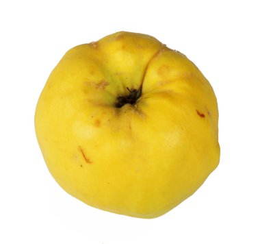 Beyaz arkaplanda quince, izole 