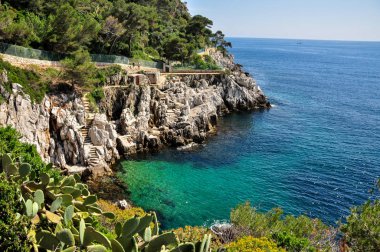 Fransız Rivierası'ndaki ünlü Saint-Jean-Cap-Ferrat koyu. Provence-Alpes-Cote d'Azur departmanı güneydoğu Fransa'da. Turkuaz su ile özel küçük kayalık plajları