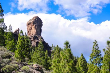 Roque Nublo volkanik monolit kaya çam ağaçları ile çevrili 
