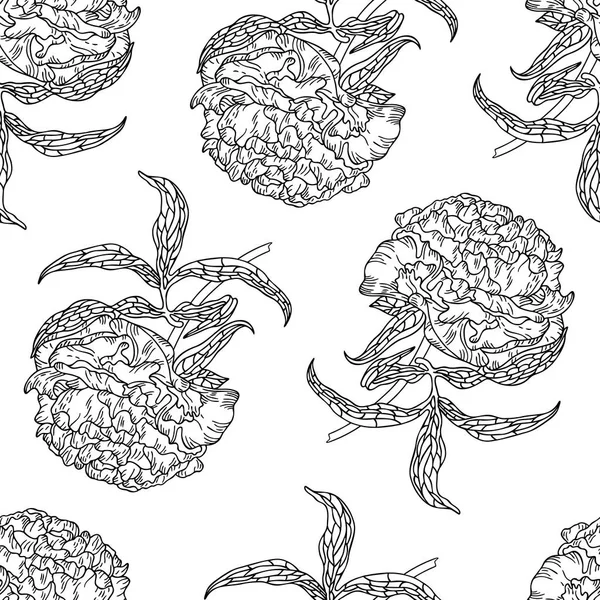 Patrón Sin Costura Vectorial Con Flores Peonía Ilustración Arte Lineal — Archivo Imágenes Vectoriales
